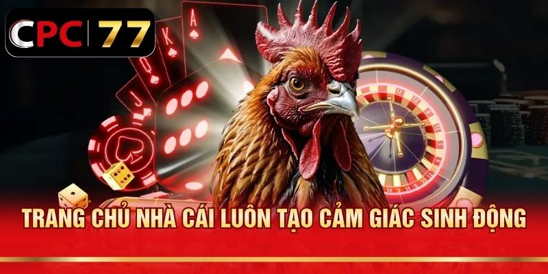 Trang chủ nhà cái luôn tạo cảm giác sinh động